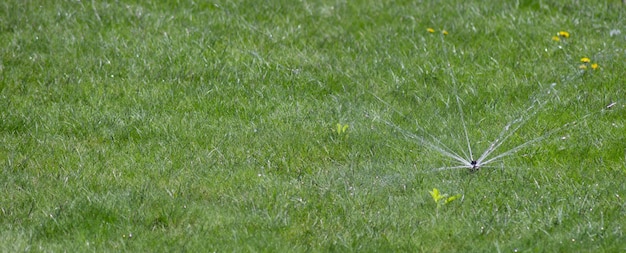 The nozzle sprays drops of water for watering the lawn in the garden