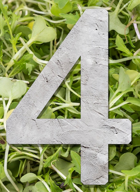 Number 4 with concrete texture on nature background