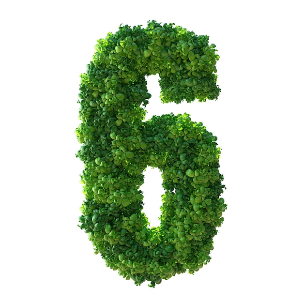 Number 6 Alphabet Green plant isolated Clipping Path 3d illustration leaves grass moss basil mint