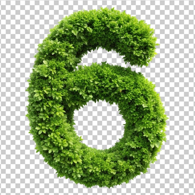 Number 6 alphabet green plant on transparent background