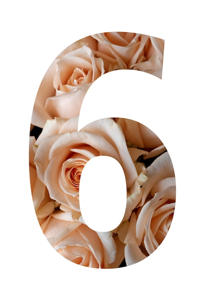 Number six of rose flowers on a white wall, 