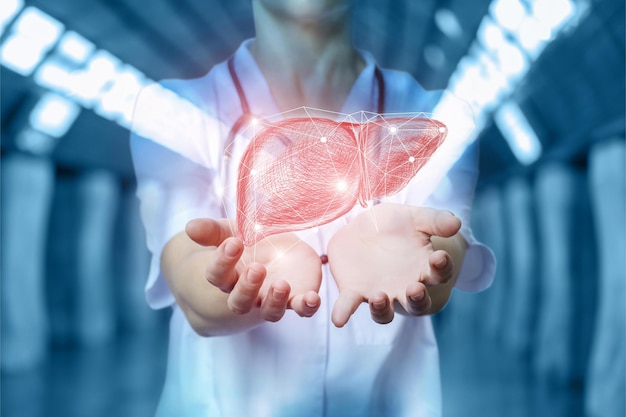 Nurse shows liver in hand on a blurred background