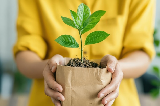 Nurturing Nature A CloseUp of a Person Holding a Freshly Planted Green Seedling in Sustainable Potti