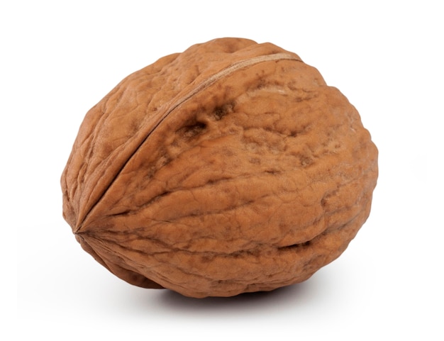 Nut isolated