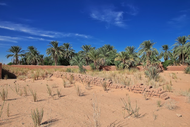 An oasis in the Sahara desert in the heart of Africa