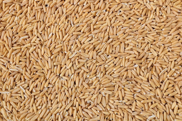 Oat groats Raw whole oat seeds Texture background Healthy eating Top view