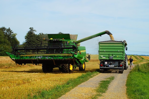 The oat harvest is brought in