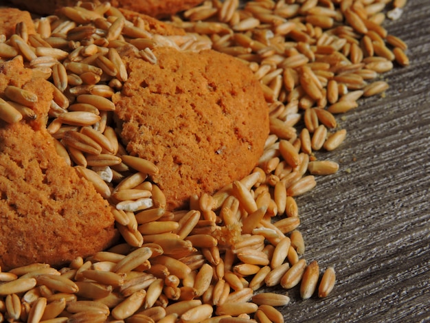 Oatmeal cookie and oats grains.