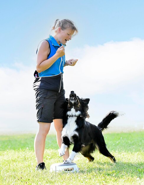 obedience training with a border collie