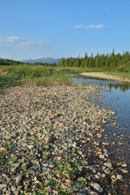 The object of UNESCO world heritage site Virgin Komi forests