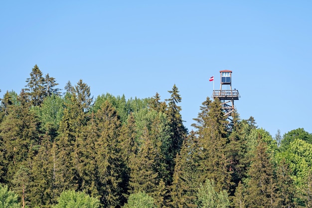 Observation tower above the forest tops in Delinkalns Aluksne Vidzeme Latvia