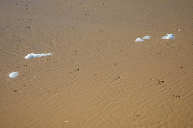 Ocean foam on low tide sandy sea beach