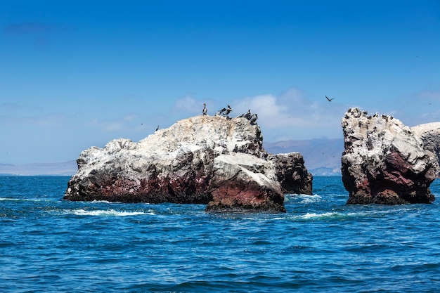 Ocean island and pelicans