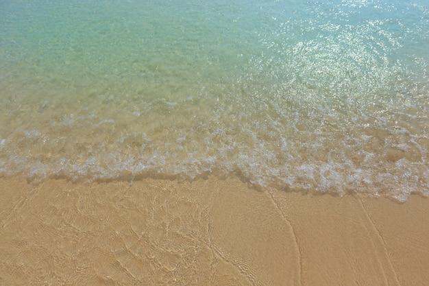 Ocean Wave on the beach