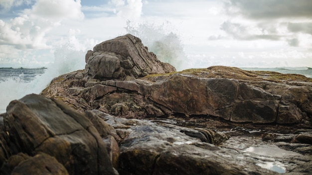 Ocean waves crashing against rocks