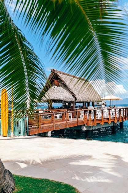 Oceanfront restaurant in a tropical city park with palm trees in French Polynesia