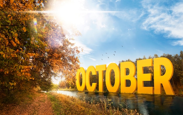 October natural landscape with colored fall leaves