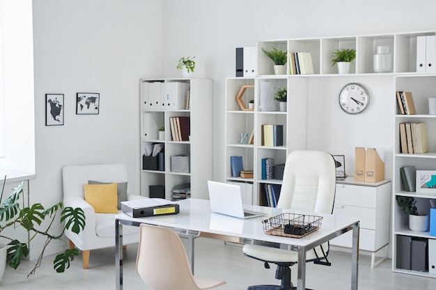 Office of business person with desk, armchair of professional, chair for clients, shelves, clock, green plant and two pictures on wall