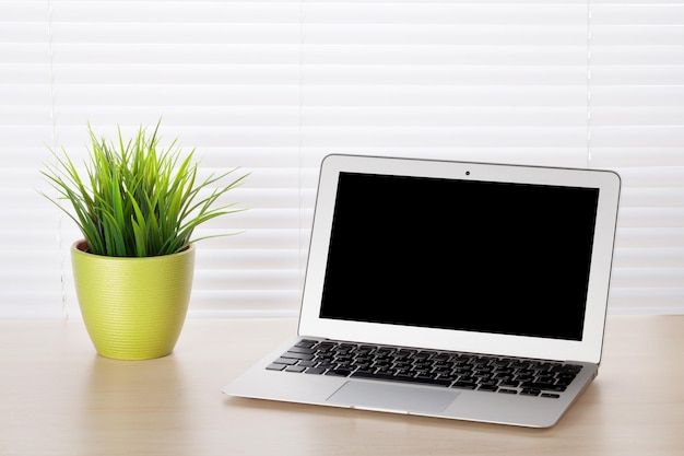 Office desk with laptop and plant