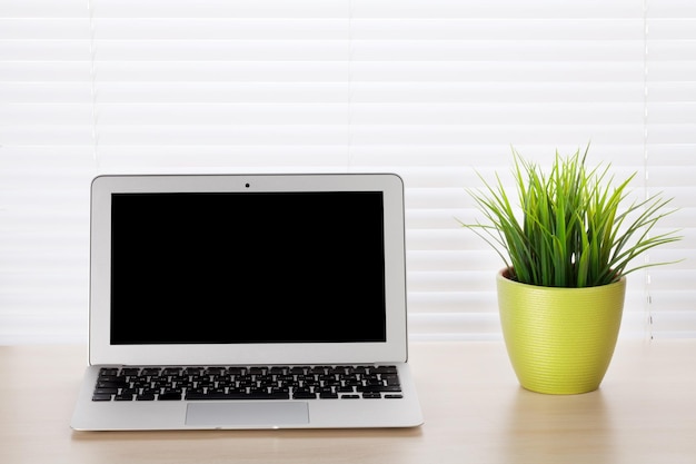 Office desk with laptop and plant