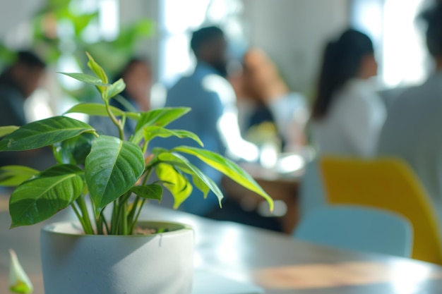 Photo office plant in focus with blurred business team in background