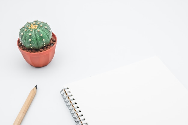 Office table with cactus, notebook and pencil, top view, flat lay with white background