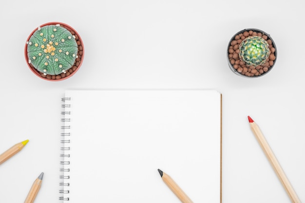 Office table with cactus, notebook and pencil, top view, flat lay with white background