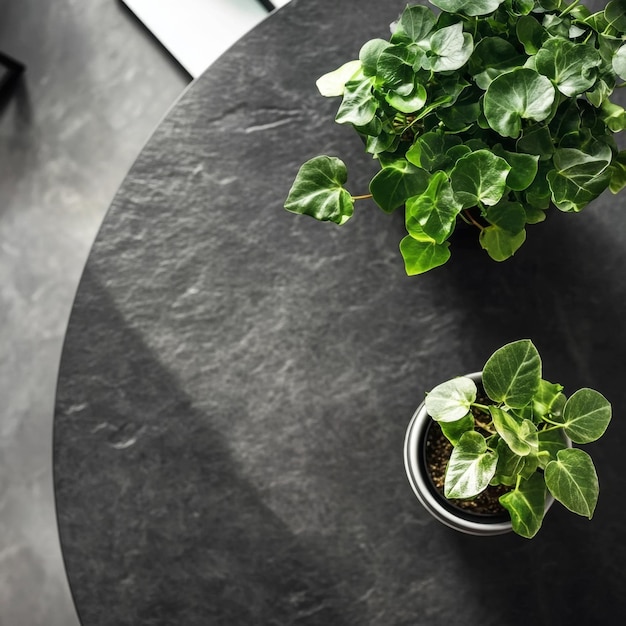 Photo office workplace with potted green plant