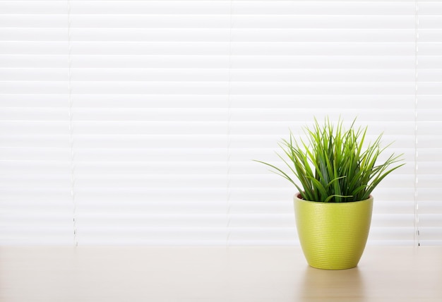 Office workplace with potted plant