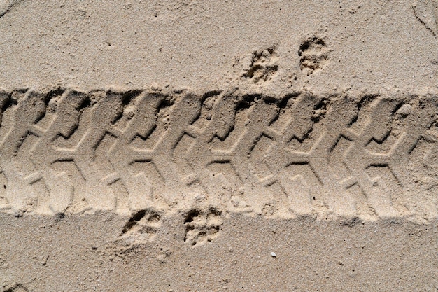 Offroad tire track on sandy beach