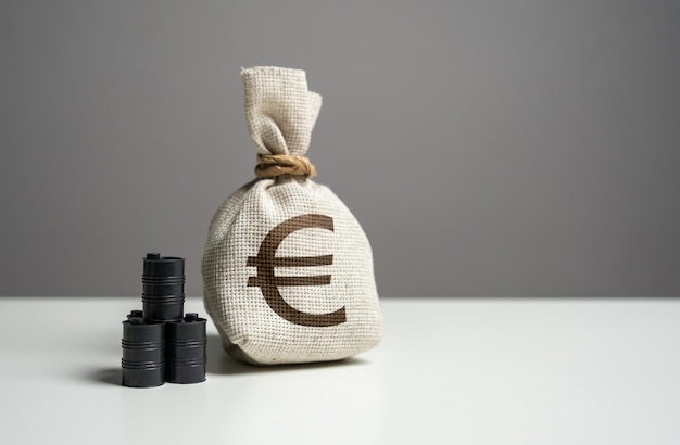 Oil barrels and euro money bag