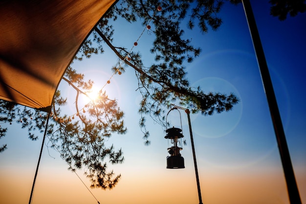 Oil lantern hanging on Camping and tent under the pine forest at sunset