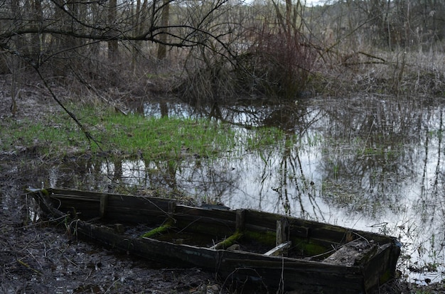 Old abandoned boat in the swamp