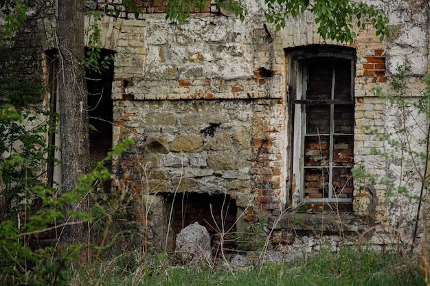 Old abandoned brick building with horses in the forest