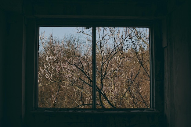 Old abandoned buildings with shabby walls