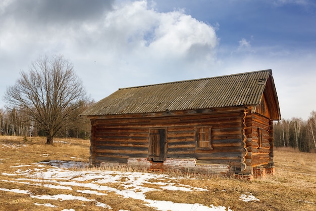 Old abandoned house from the tree in the forest