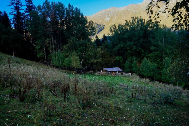 Old abandoned house in the woods near the mountains. Nature Of The Caucasus.