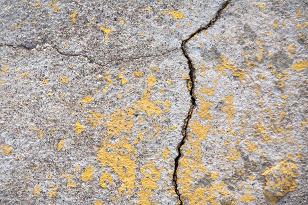 Old asphalt with cracks and moss