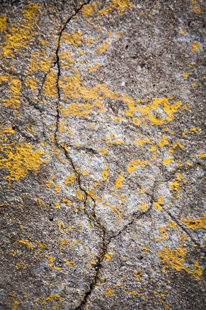 Old asphalt with cracks and moss