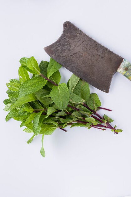 Old ax with colorful handle with bunch of spearmint