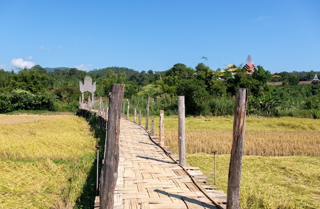 The old bamboo bridge for crossing the golden paddy field after the harvest time from the countryside village to the local temple in the north of Thailand, front view with the copy space.