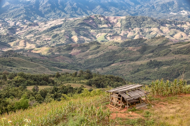 Old bamboo house on top of the hills mountain 