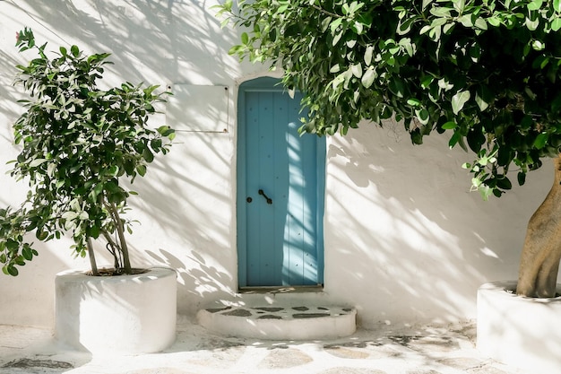 Old blue door with green trees on Santorini island Greece