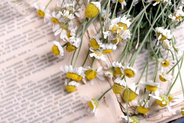 Old book with dry flowers close up