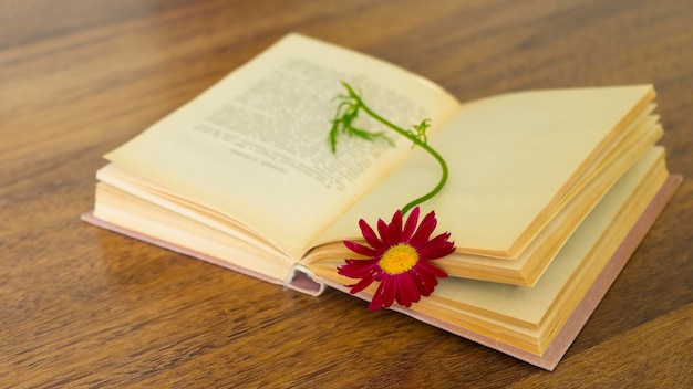 An old book with a pink flower on it