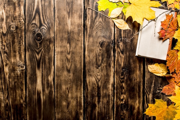 Old books and autumn leaves. On wooden background.