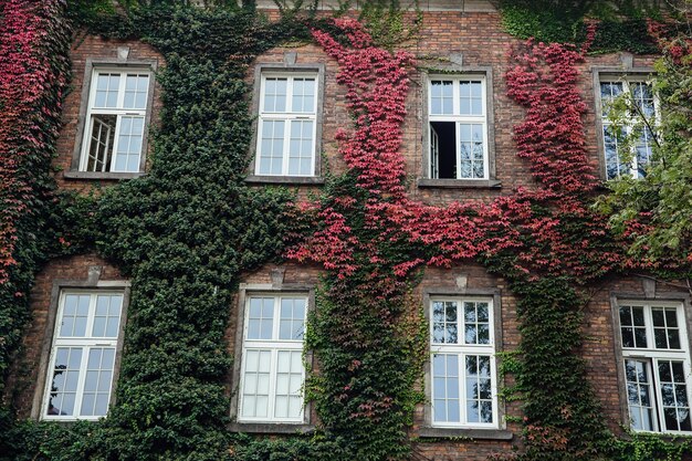 Old brick buildings downtown small town vintage windows antique