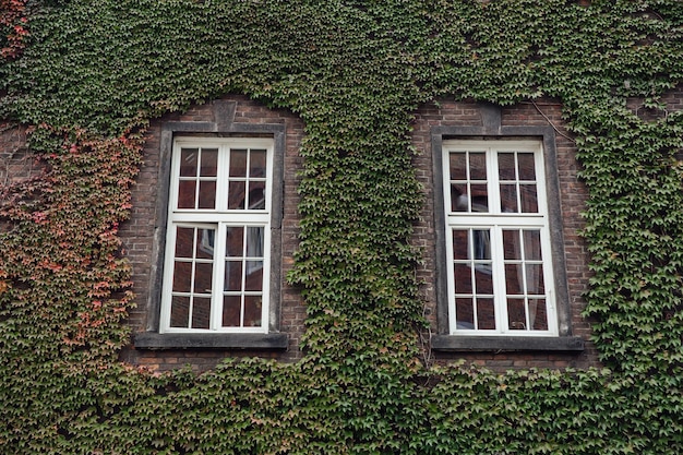 Old brick buildings downtown small town vintage windows antique