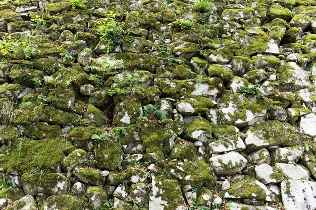 Old Brick Wall with Moss