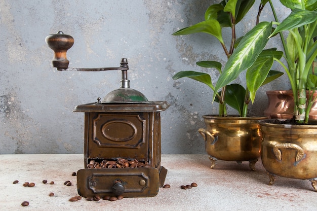 Old brown metal coffee grinder